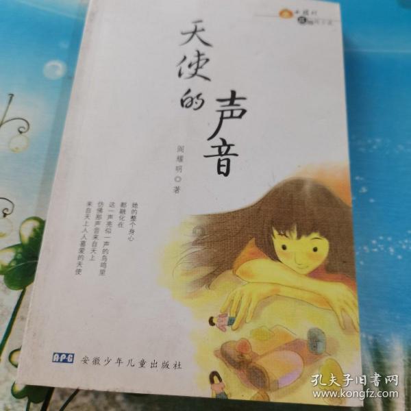 雨后盛放